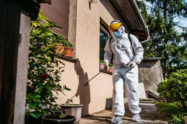 Best Best Pest Control Near Me  in Staffd, OR