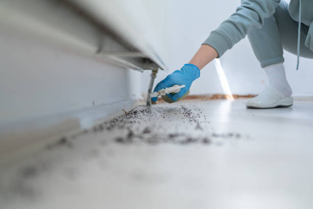 Best Affordable Pest Control Services  in Staffd, OR